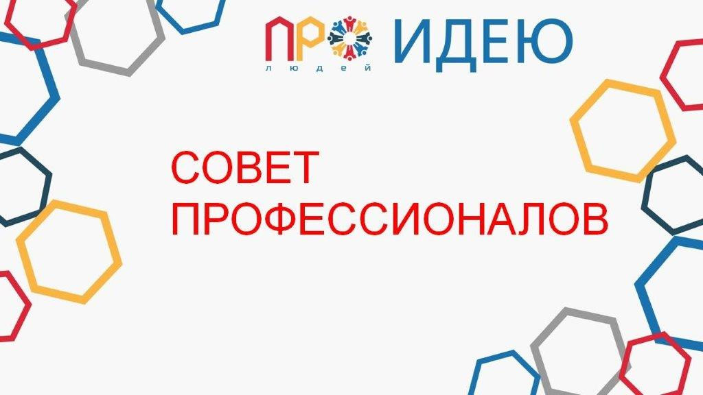 Совет профессионалов