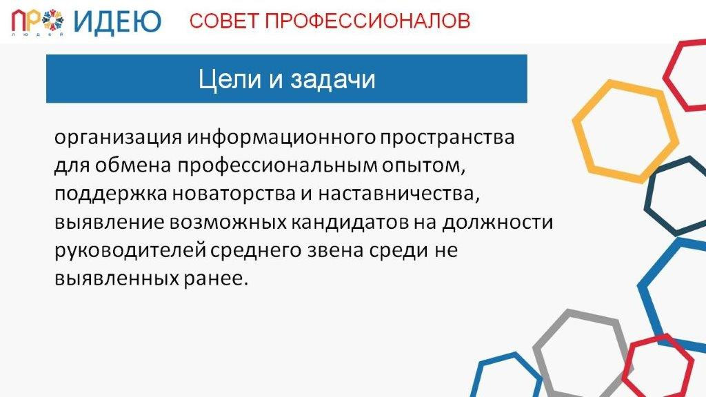 Совет профессионалов